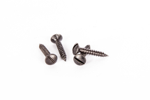 Repair Screws